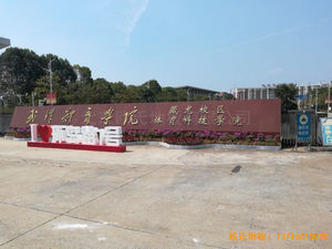 武漢體育學(xué)院體育地板安裝案例