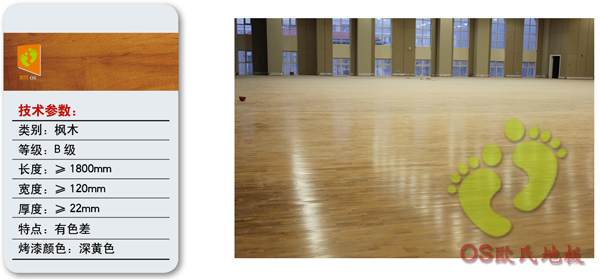 B級楓木體育運動地板