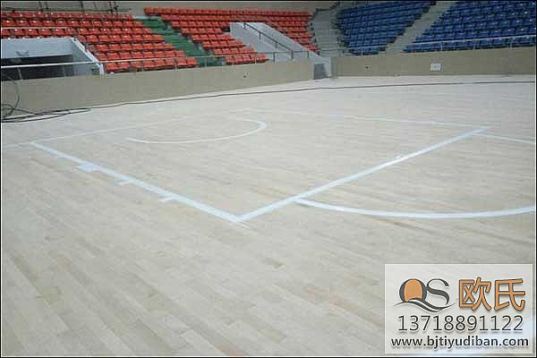 籃球?qū)嵞镜匕宓膬r格一般多少錢？