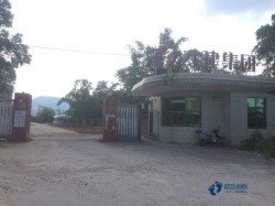 楓木籃球地板安裝公司