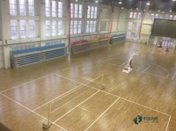 室內(nèi)籃球場(chǎng)地木地板廠家報(bào)價(jià)