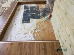 實木運動體育木地板保養(yǎng)