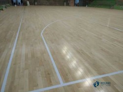 體育木地板較低價(jià)格