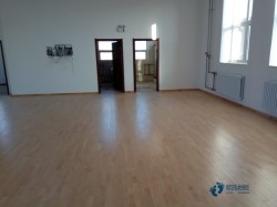 高品質(zhì)體育運(yùn)動(dòng)木地板維護(hù)保養(yǎng)