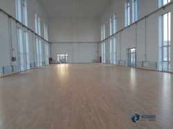 常見運(yùn)動(dòng)木地板怎樣保養(yǎng)