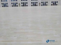 高品質(zhì)籃球運(yùn)動木地板保修期