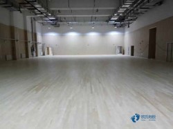 高品質(zhì)籃球運(yùn)動(dòng)木地板如何保養(yǎng)