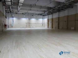 中等運(yùn)動(dòng)場館地板廠家報(bào)價(jià)