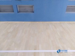 籃球木地板檢測(cè)費(fèi)用