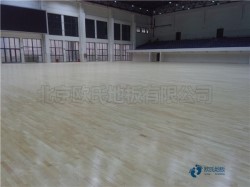 籃球場(chǎng)木地板用中醫(yī)療法選精品