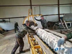 20厚體育場地地板行業(yè)品牌