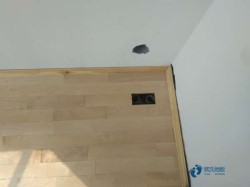 常用松木舞臺(tái)運(yùn)動(dòng)木地板哪個(gè)牌子環(huán)保