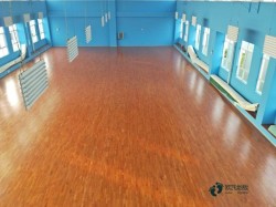 尋求體育運(yùn)動木地板木紋