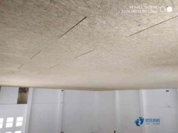 籃球館木地板選購四不要