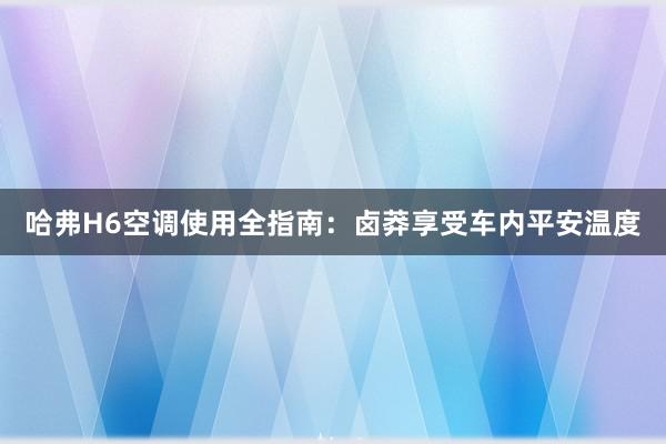 哈弗H6空调使用全指南：卤莽享受车内平安温度